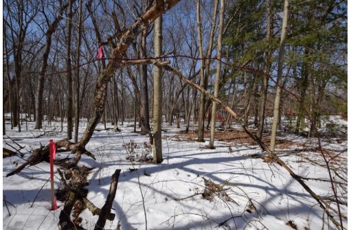 LOT 86-LOT 87 Christmas Mountain Dr, Wisconsin Dells, WI 53965