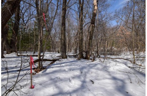 LOT 86-LOT 87 Christmas Mountain Dr, Wisconsin Dells, WI 53965