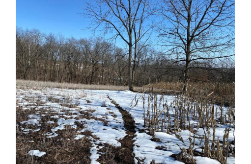 LOT 1 Deer Brook Ln, Blanchardville, WI 53516