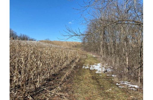 LOT 1 Deer Brook Ln, Blanchardville, WI 53516