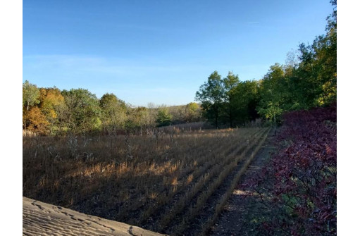 LOT 1 Deer Brook Ln, Blanchardville, WI 53516