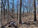 LOT 1 Deer Brook Ln, Blanchardville, WI 53516