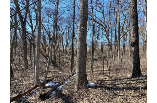 LOT 1 Deer Brook Ln, Blanchardville, WI 53516