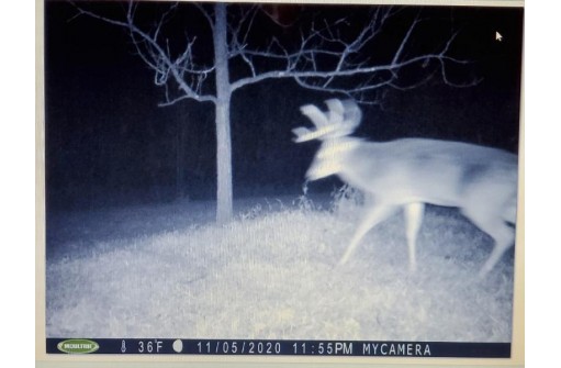 LOT 1 Deer Brook Ln, Blanchardville, WI 53516