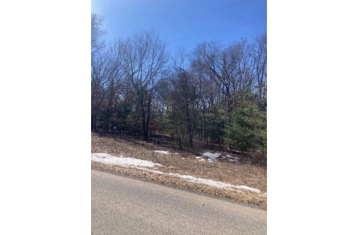 5 WOODED ACRES Near Castle Rock Lake, New Lisbon, WI 53948