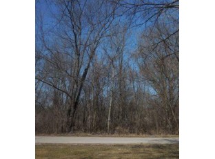 LOT 19 & 20 E Road 3 Edgerton, WI 53534