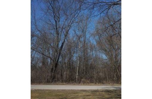 LOT 19 & 20 E Road 3, Edgerton, WI 53534