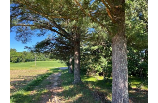 52 ACRES 7th Court, Westfield, WI 53964