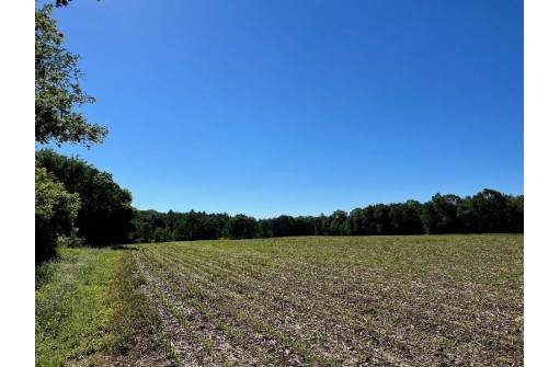 52 ACRES 7th Court, Westfield, WI 53964