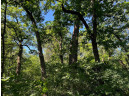 52 ACRES 7th Court, Westfield, WI 53964