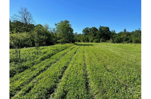 52 ACRES 7th Court, Westfield, WI 53964