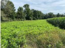 52 ACRES 7th Court, Westfield, WI 53964