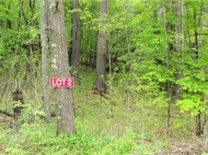 LOT 2 350th Ave Avenue