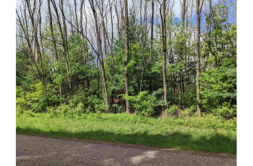 LOT 21 9th St, Westfield, WI 53964