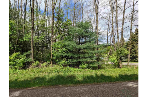 LOT 21 9th St, Westfield, WI 53964