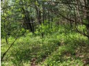 LOT 21 9th St, Westfield, WI 53964