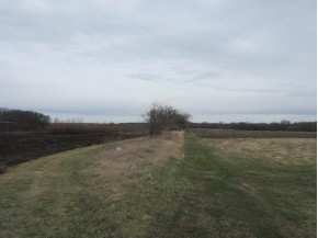 114.93 AC W Plymouth Church Rd