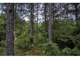 LOT 7 18th St Necedah, WI 54646