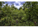 LOT 7 18th St, Necedah, WI 54646