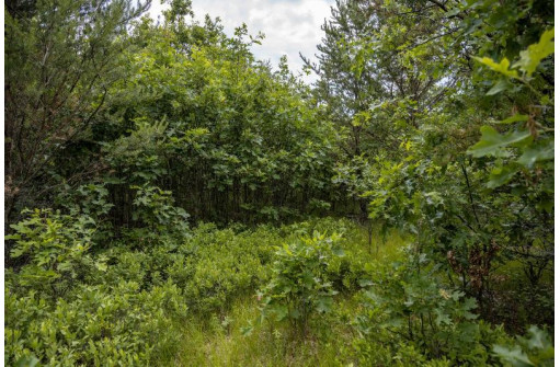 LOT 7 18th St, Necedah, WI 54646