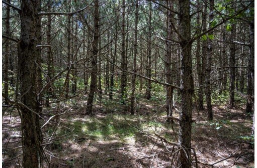 LOT 62 Big Bay Rd, Necedah, WI 54646