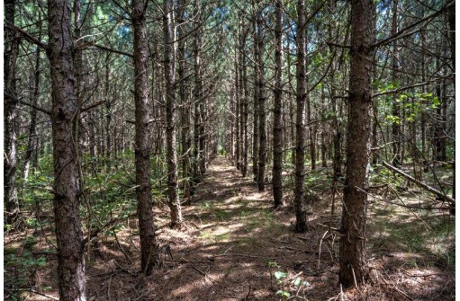 LOT 62 Big Bay Rd, Necedah, WI 54646