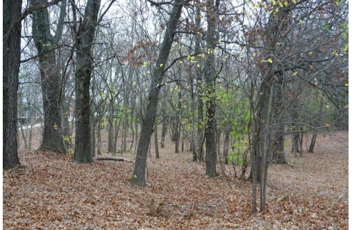 LOT 1 Bay Rd, Merrimac, WI 53561