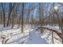 20 AC +/- Montrose Rd, Belleville, WI 53508