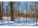 20 AC +/- Montrose Rd, Belleville, WI 53508