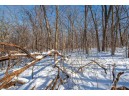 20 AC +/- Montrose Rd, Belleville, WI 53508