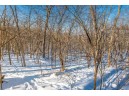 20 AC +/- Montrose Rd, Belleville, WI 53508