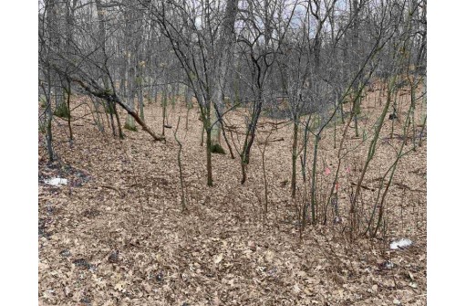 LOT 42 Hillside Dr, Wisconsin Dells, WI 53965