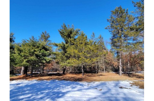 W8698 Lupine Ln, Camp Douglas, WI 54618