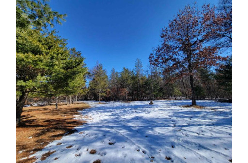 W8698 Lupine Ln, Camp Douglas, WI 54618