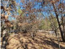 W8698 Lupine Ln, Camp Douglas, WI 54618