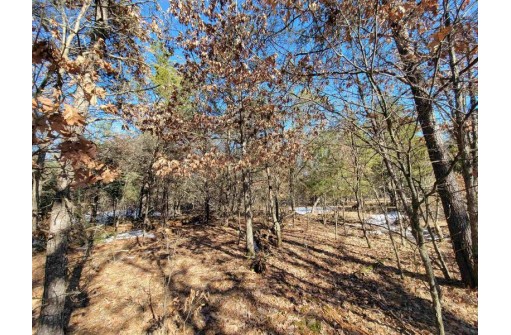 W8698 Lupine Ln, Camp Douglas, WI 54618