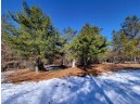 W8698 Lupine Ln, Camp Douglas, WI 54618