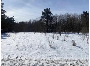LOT 75 S Gale Ct Wisconsin Dells, WI 53965