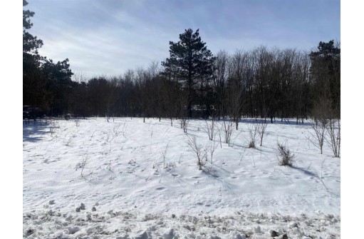 LOT 75 S Gale Ct, Wisconsin Dells, WI 53965