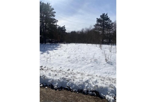 LOT 75 S Gale Ct, Wisconsin Dells, WI 53965