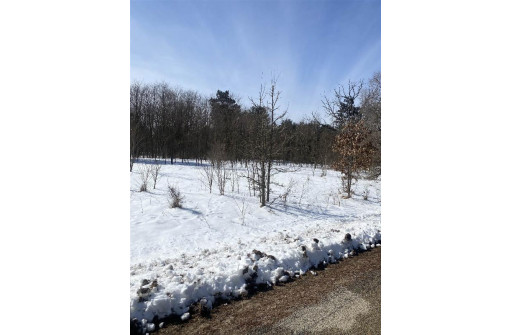 LOT 75 S Gale Ct, Wisconsin Dells, WI 53965