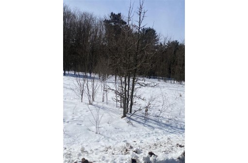 LOT 75 S Gale Ct, Wisconsin Dells, WI 53965