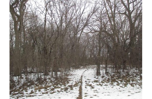 LOT 1 S Christian Larson Ln, Clinton, WI 53525