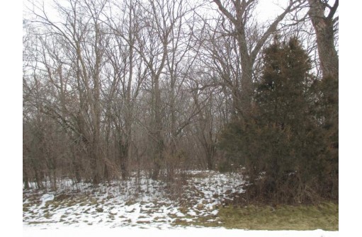 LOT 1 S Christian Larson Ln, Clinton, WI 53525