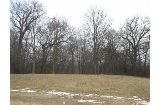 LOT 1 S Christian Larson Ln, Clinton, WI 53525