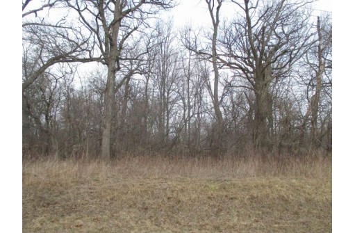 LOT 1 S Christian Larson Ln, Clinton, WI 53525