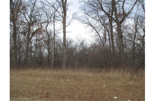 LOT 1 S Christian Larson Ln, Clinton, WI 53525