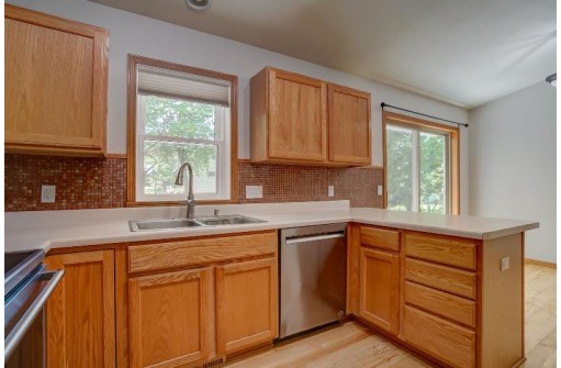 6413 Tonkinese Tr, Madison, WI 53719