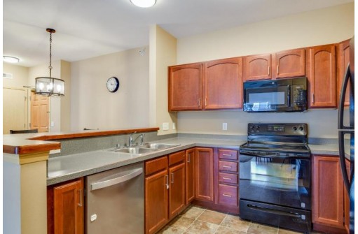 3848 Maple Grove Dr 313, Madison, WI 53719