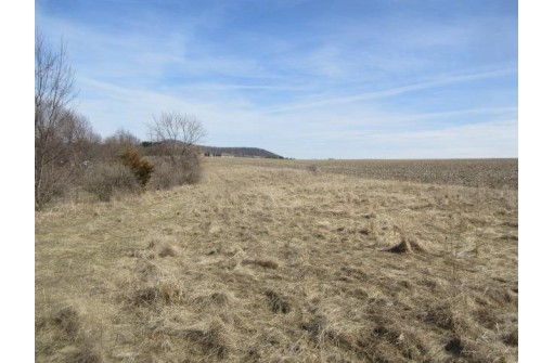 Buzz Ln, Platteville, WI 53818